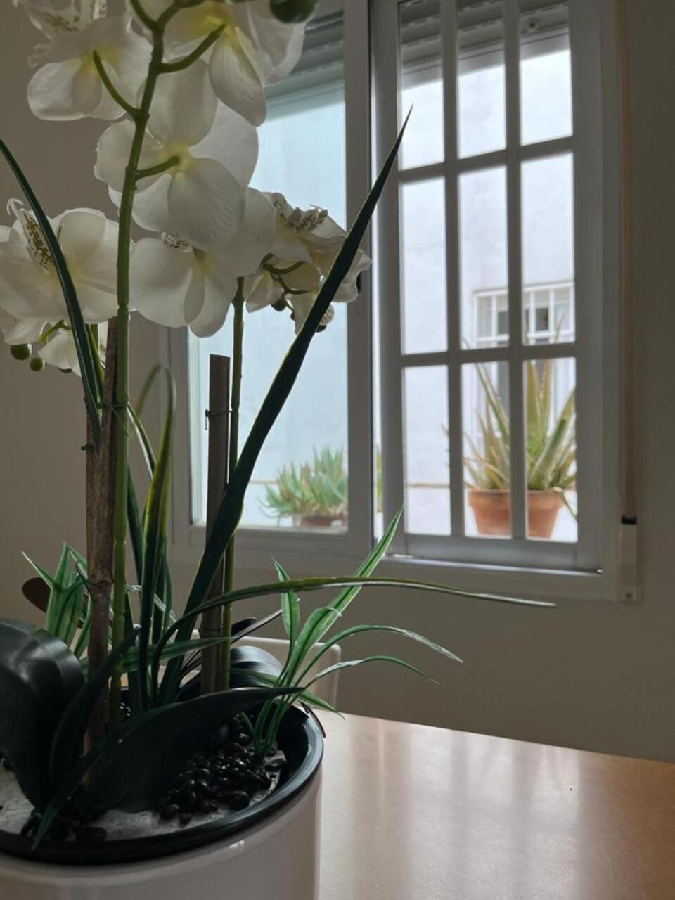Apartament El Balcon De La Torre Kordoba Zewnętrze zdjęcie