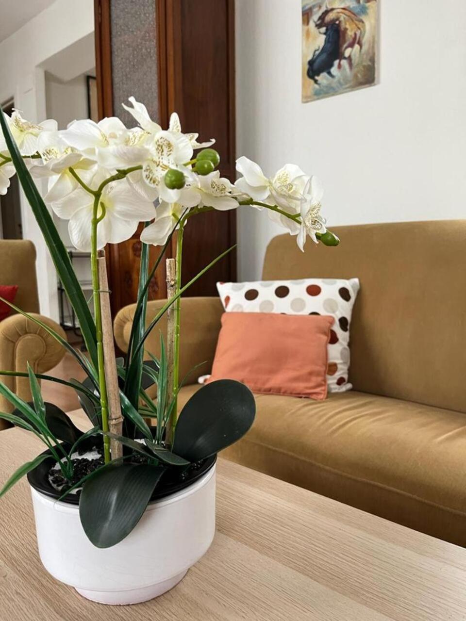 Apartament El Balcon De La Torre Kordoba Zewnętrze zdjęcie