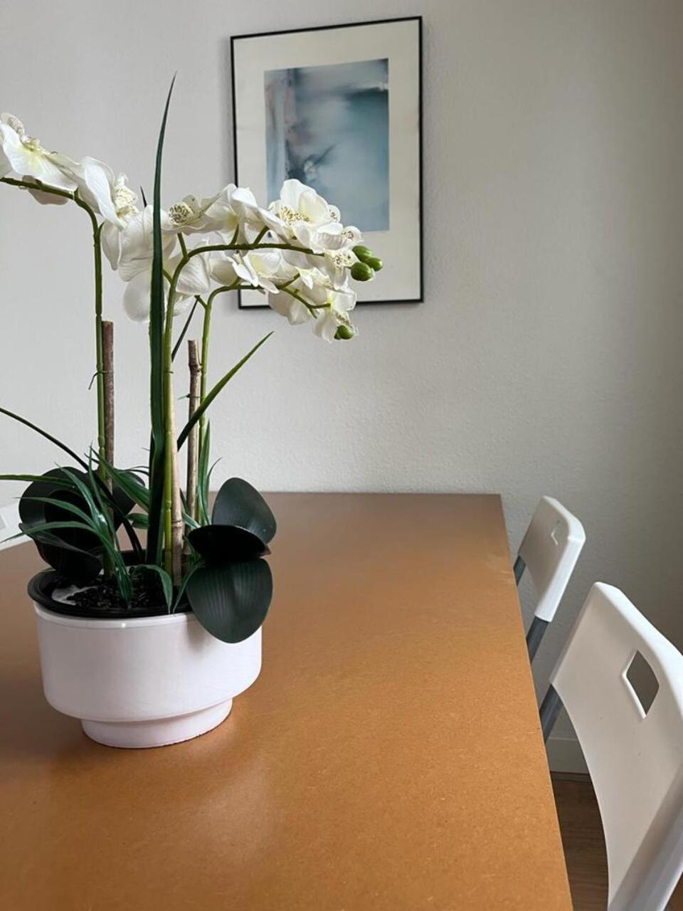 Apartament El Balcon De La Torre Kordoba Zewnętrze zdjęcie